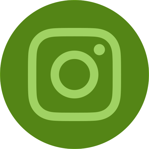 Image of the instagram logo in green